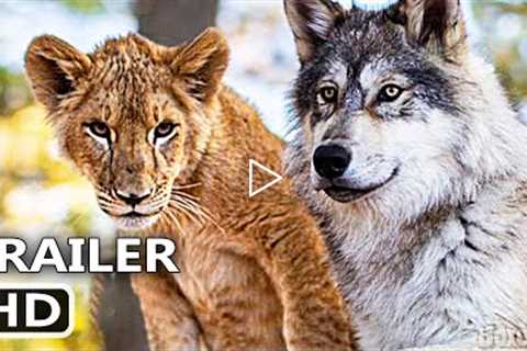 THE WOLF AND THE LION Trailer (2022) Family Movie
