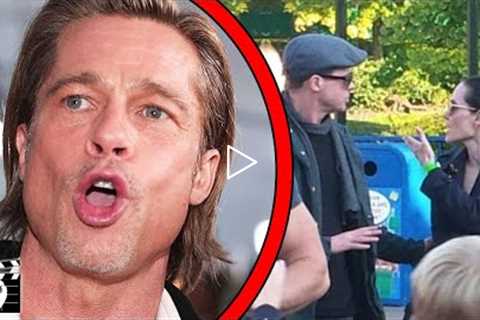 Top 10 Biggest Brad Pitt Red Flags We Should've Noticed