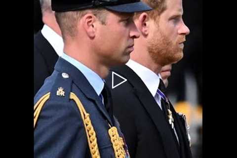 Lip Reader On What Prince William And Prince Harry Said During The Queen's Funeral