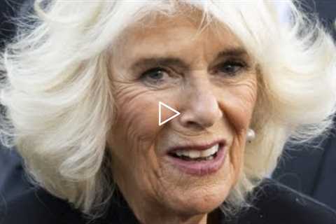 Camilla's Allegedly Harsh Reaction To Harry's Plans To Reconcile