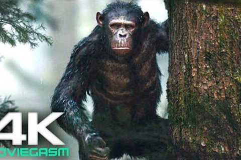 Kingdom Of The Planet Of The Apes (2024) 4K UHD | New Upcoming Movies