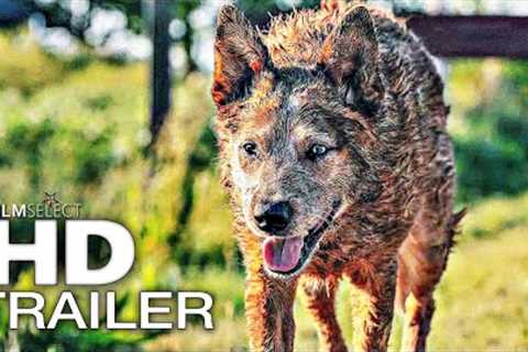 PET SEMATARY: BLOODLINES Trailer (2023)