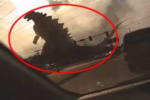 5 Godzilla Caught On Camera & Spotted In Real Life!